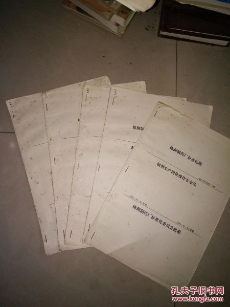 株洲制药厂企业标准与操作规范合售 全面保障制剂生产质量与安全